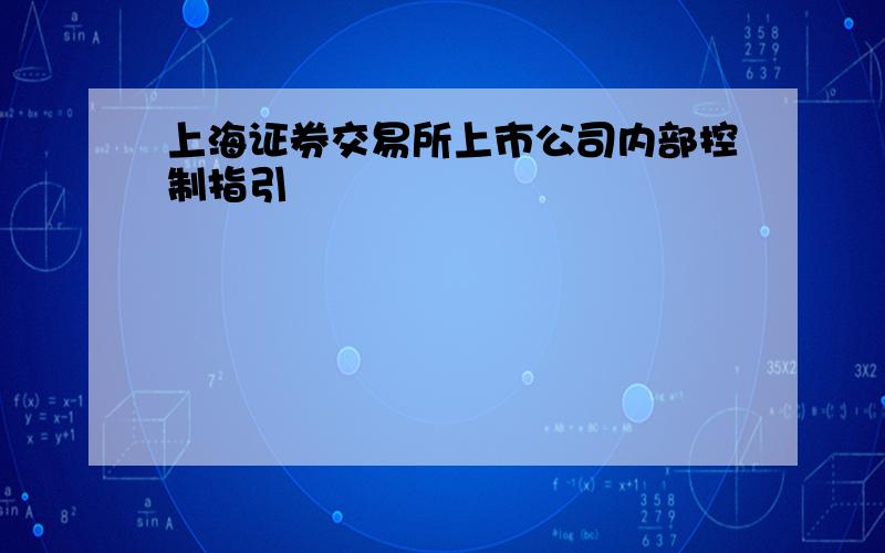 上海证券交易所上市公司内部控制指引