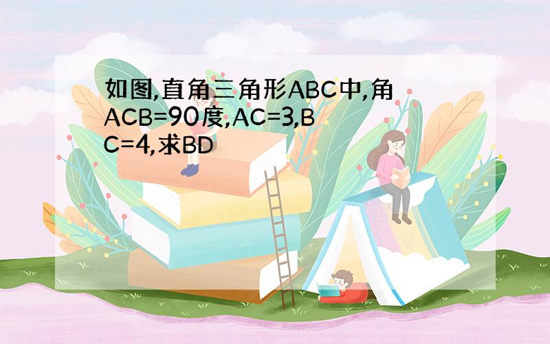 如图,直角三角形ABC中,角ACB=90度,AC=3,BC=4,求BD