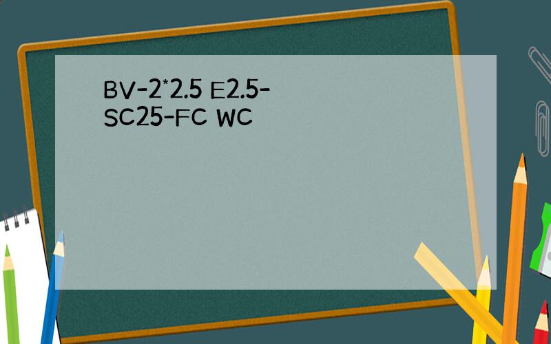 BV-2*2.5 E2.5-SC25-FC WC