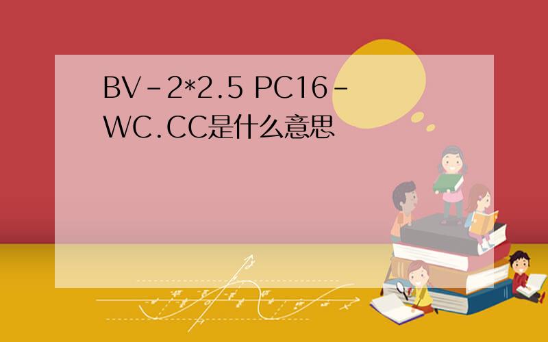 BV-2*2.5 PC16-WC.CC是什么意思