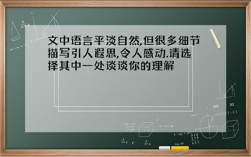 文中语言平淡自然,但很多细节描写引人遐思,令人感动.请选择其中一处谈谈你的理解
