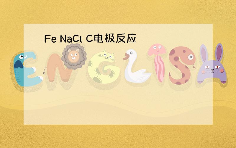 Fe NaCl C电极反应