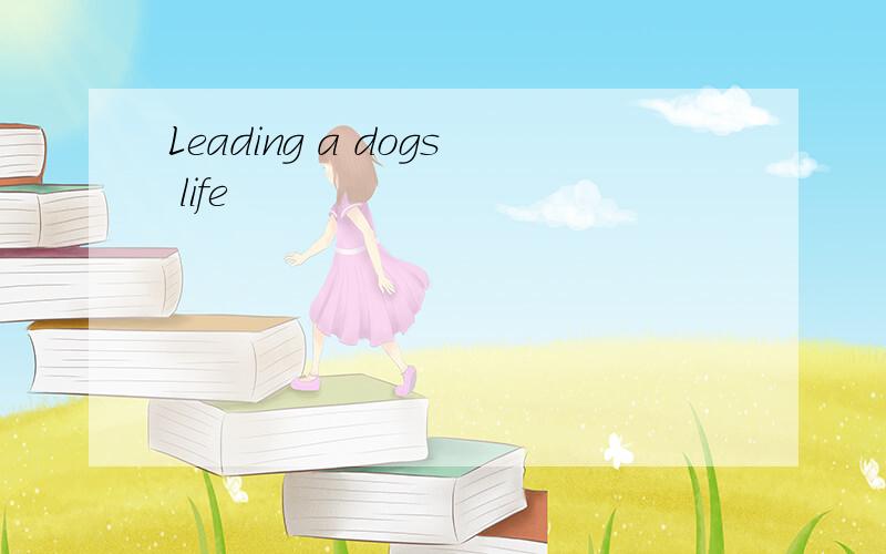 Leading a dogs life