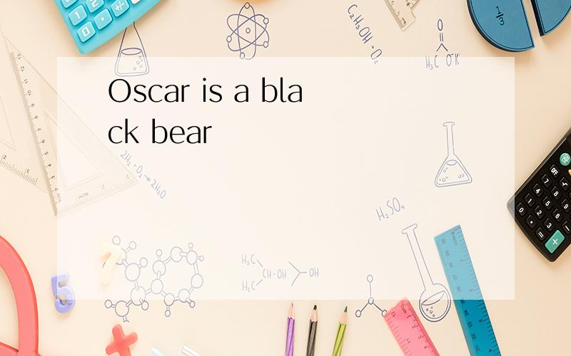 Oscar is a black bear