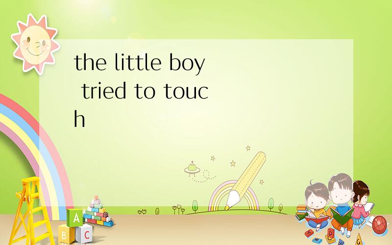 the little boy tried to touch