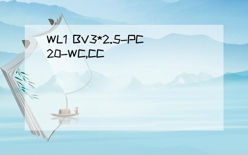 WL1 BV3*2.5-PC20-WC,CC