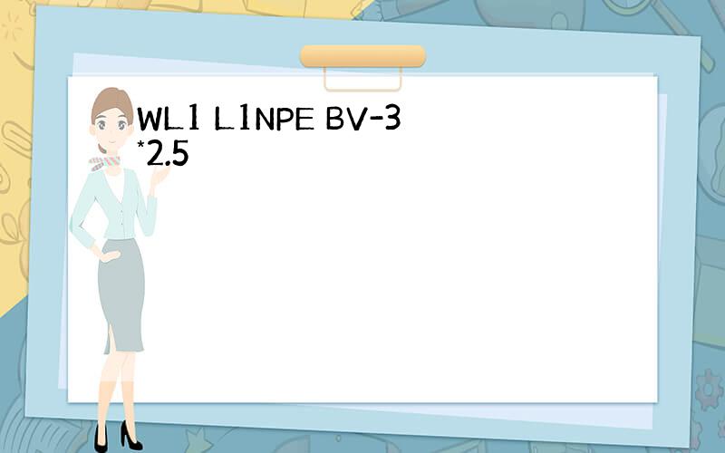 WL1 L1NPE BV-3*2.5