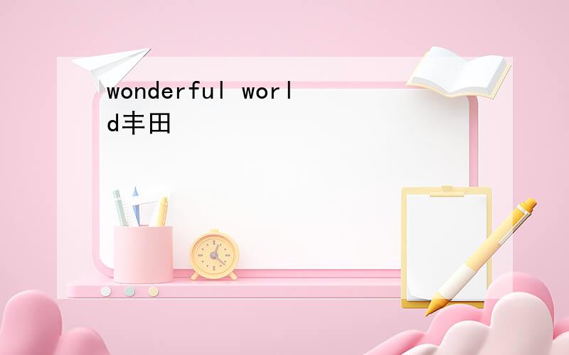 wonderful world丰田