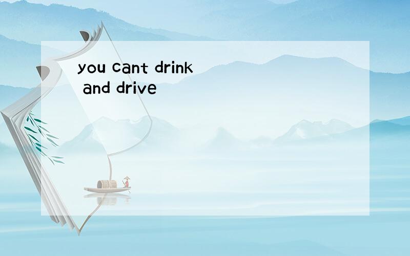 you cant drink and drive