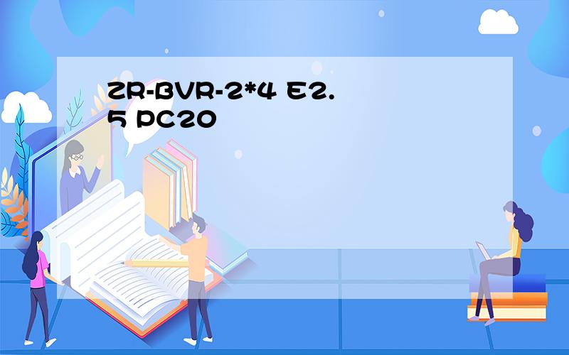 ZR-BVR-2*4 E2.5 PC20