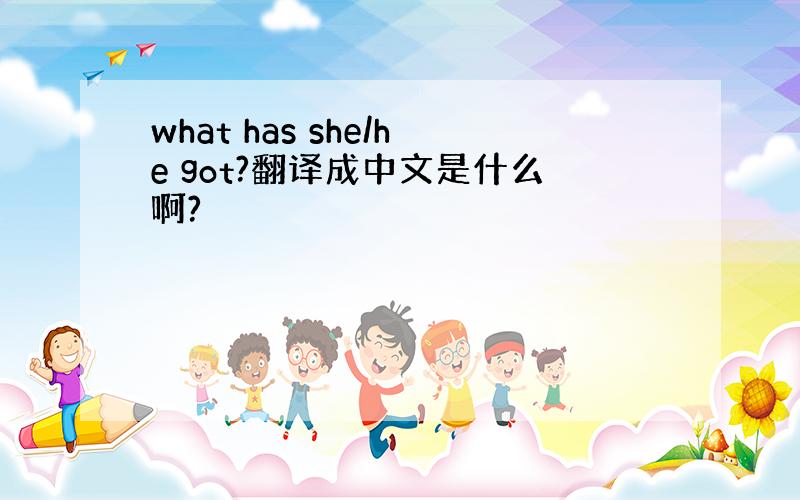 what has she/he got?翻译成中文是什么啊?