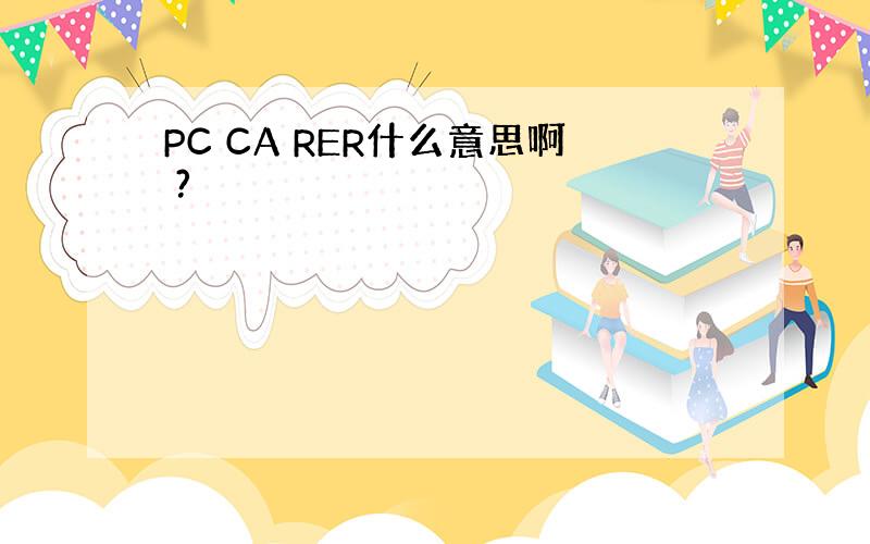 PC CA RER什么意思啊 ?
