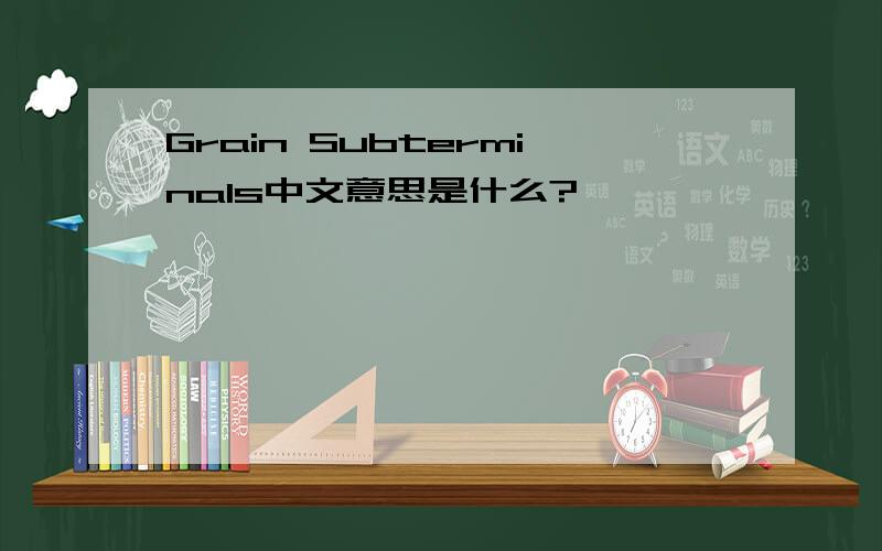 Grain Subterminals中文意思是什么?