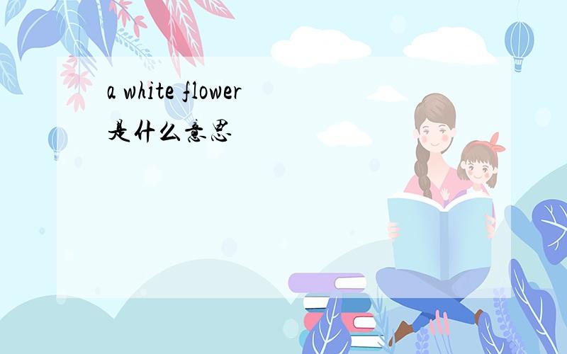 a white flower是什么意思