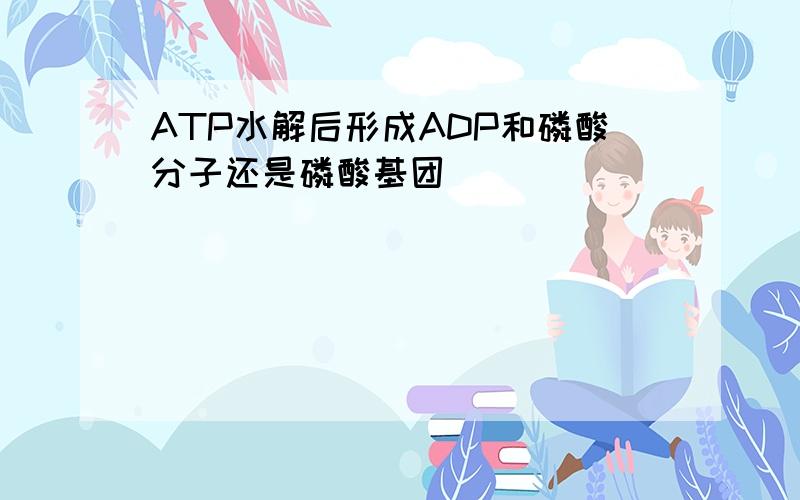 ATP水解后形成ADP和磷酸分子还是磷酸基团