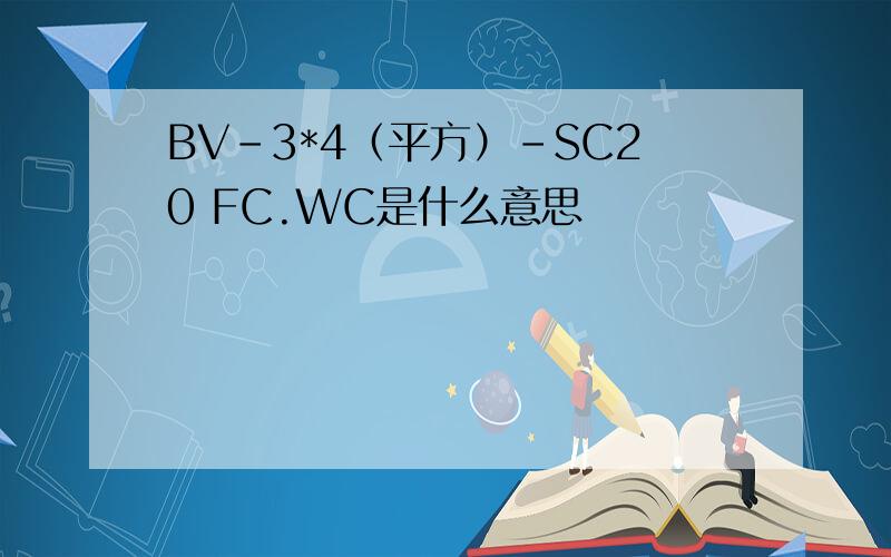 BV-3*4（平方）-SC20 FC.WC是什么意思