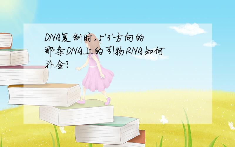 DNA复制时,5'3'方向的那条DNA上的引物RNA如何补全?