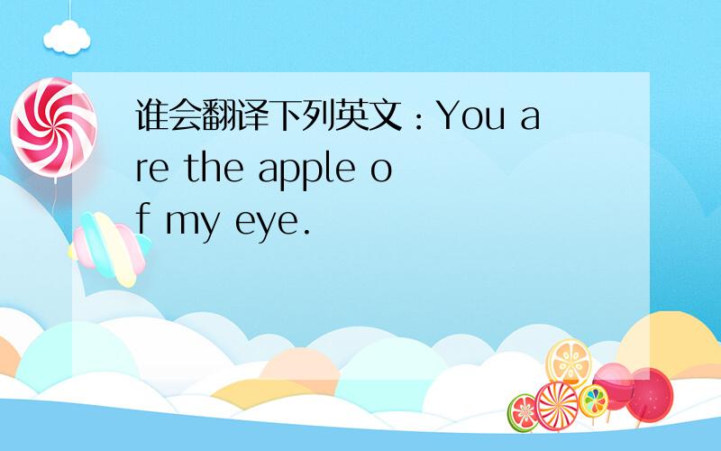 谁会翻译下列英文：You are the apple of my eye.