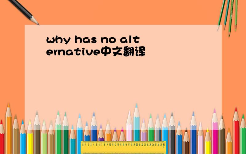 why has no alternative中文翻译
