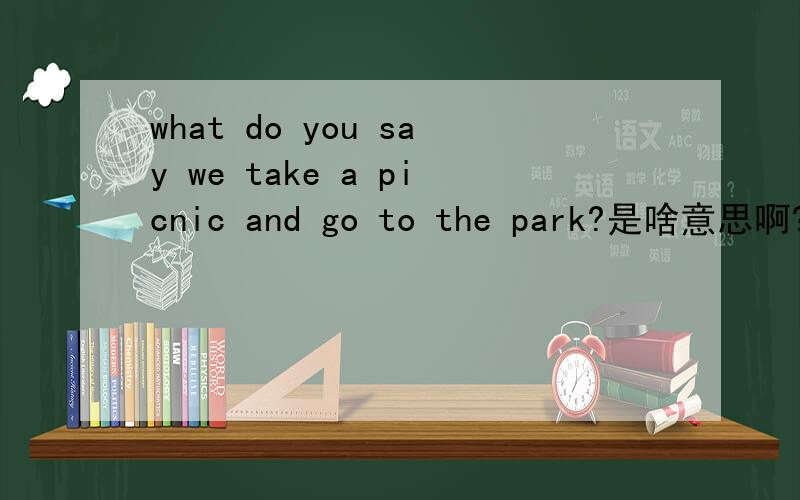 what do you say we take a picnic and go to the park?是啥意思啊?