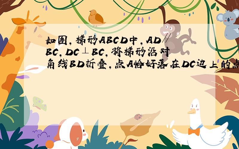 如图，梯形ABCD中，AD∥BC，DC⊥BC，将梯形沿对角线BD折叠，点A恰好落在DC边上的点A′处，若∠A′BC=20