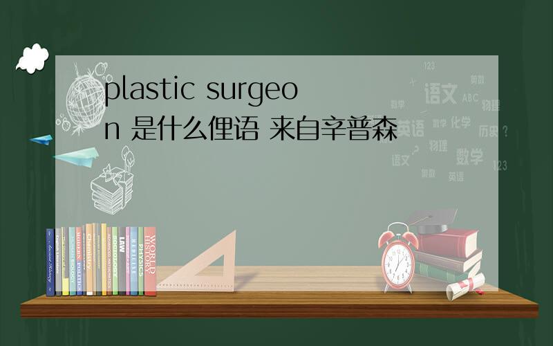 plastic surgeon 是什么俚语 来自辛普森