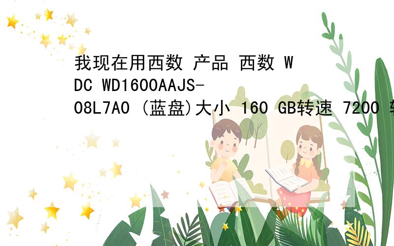 我现在用西数 产品 西数 WDC WD1600AAJS-08L7A0 (蓝盘)大小 160 GB转速 7200 转/分硬