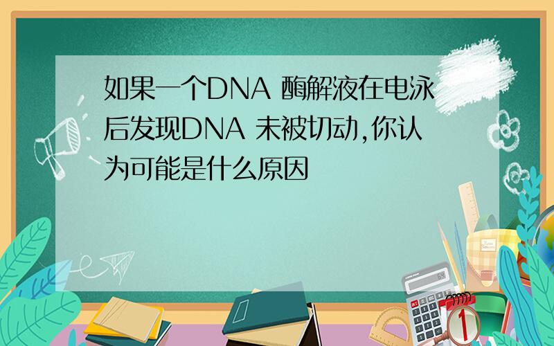 如果一个DNA 酶解液在电泳后发现DNA 未被切动,你认为可能是什么原因