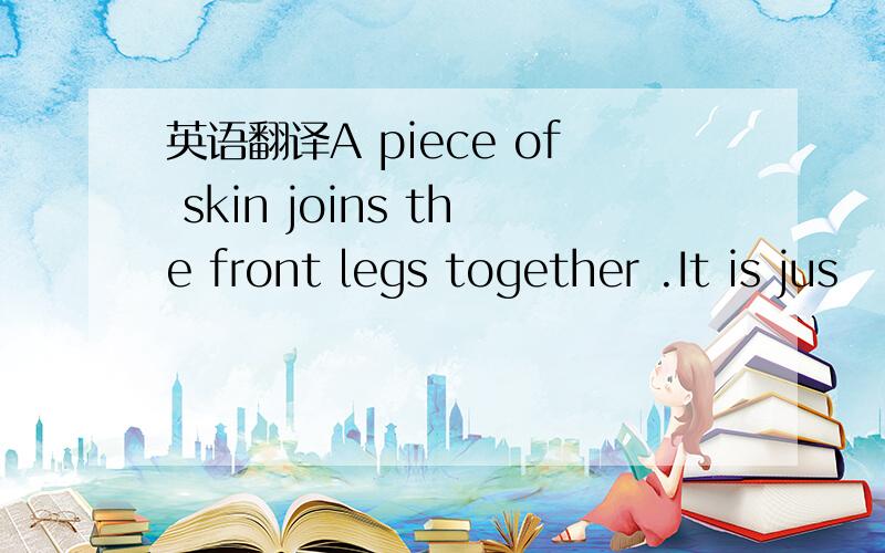 英语翻译A piece of skin joins the front legs together .It is jus