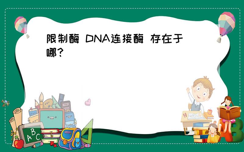 限制酶 DNA连接酶 存在于哪?