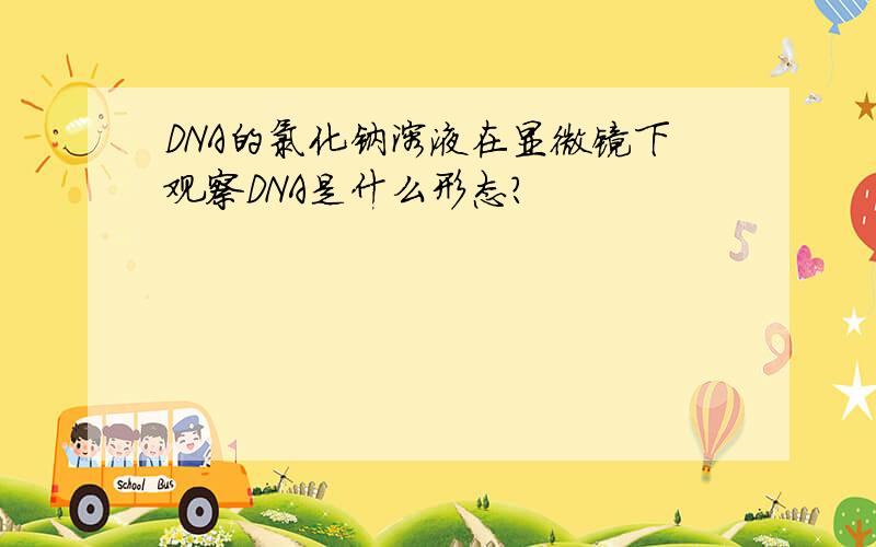 DNA的氯化钠溶液在显微镜下观察DNA是什么形态?