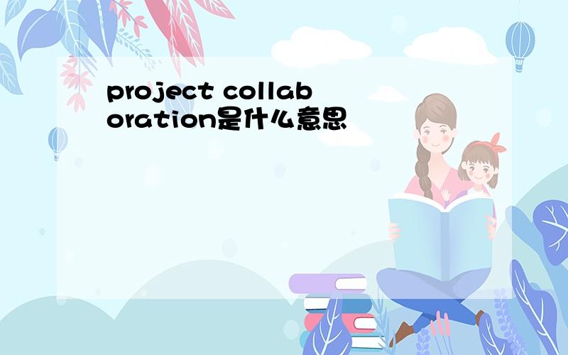 project collaboration是什么意思