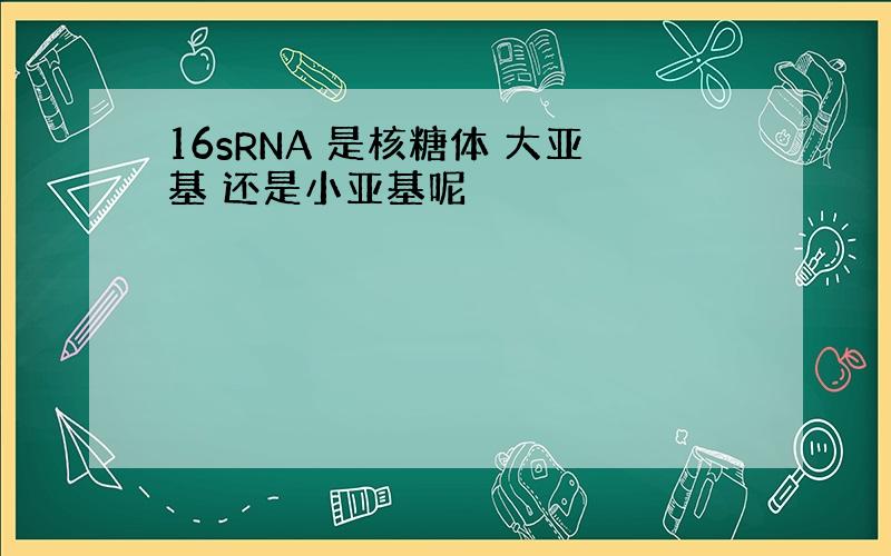 16sRNA 是核糖体 大亚基 还是小亚基呢