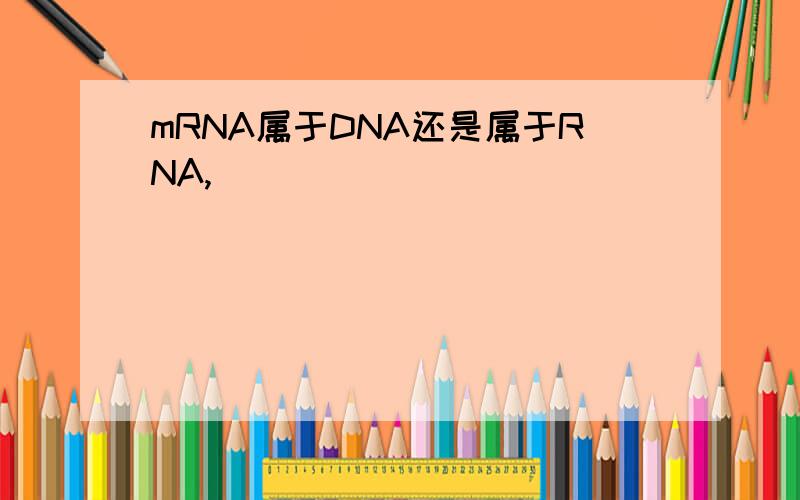 mRNA属于DNA还是属于RNA,