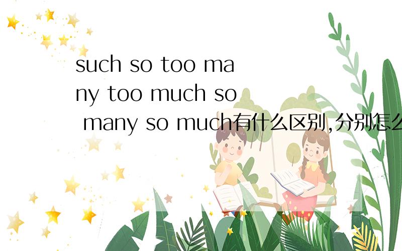such so too many too much so many so much有什么区别,分别怎么用