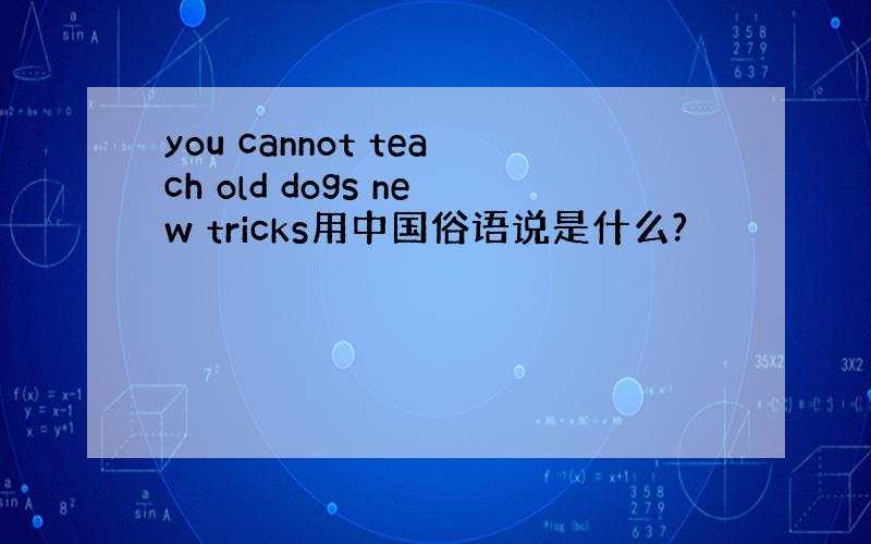 you cannot teach old dogs new tricks用中国俗语说是什么?