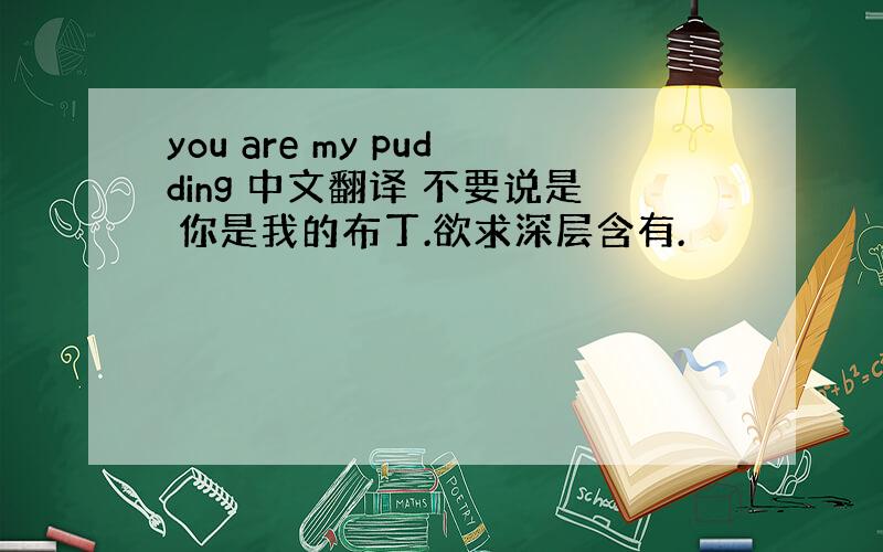 you are my pudding 中文翻译 不要说是 你是我的布丁.欲求深层含有.