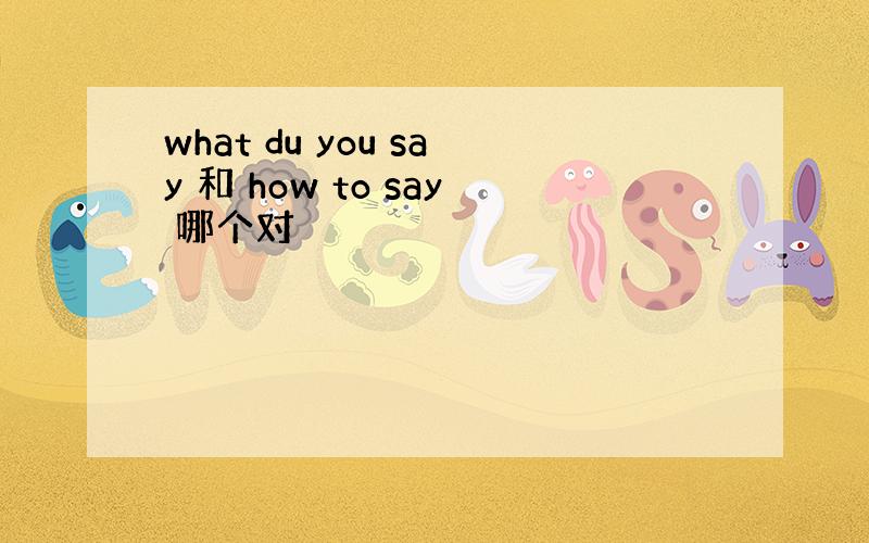 what du you say 和 how to say 哪个对