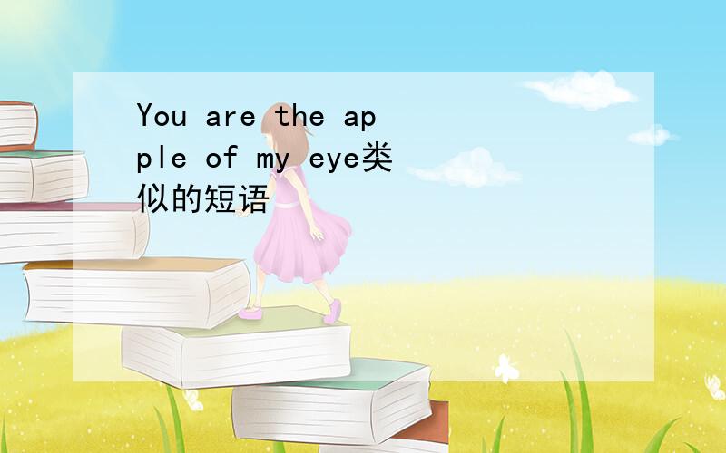 You are the apple of my eye类似的短语