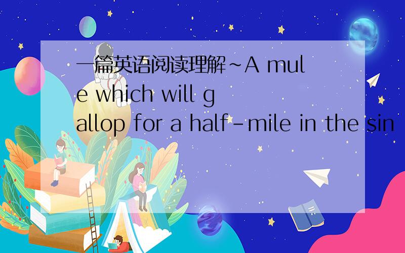一篇英语阅读理解～A mule which will gallop for a half-mile in the sin