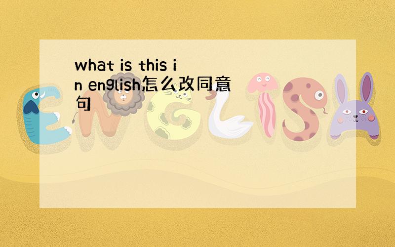 what is this in english怎么改同意句