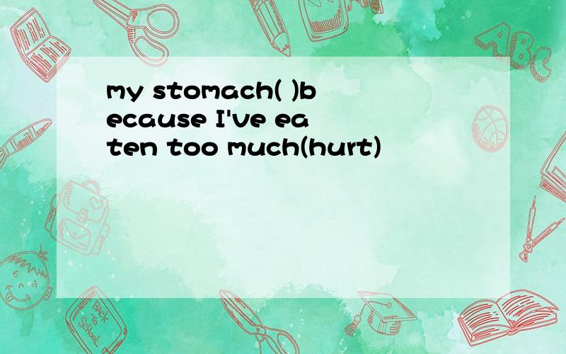 my stomach( )because I've eaten too much(hurt)