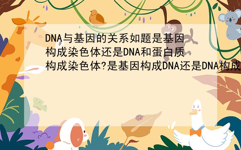 DNA与基因的关系如题是基因构成染色体还是DNA和蛋白质构成染色体?是基因构成DNA还是DNA构成基因?为什么DNA是生