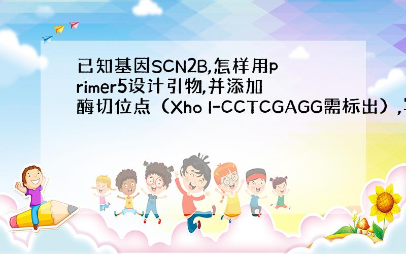 已知基因SCN2B,怎样用primer5设计引物,并添加酶切位点（Xho I-CCTCGAGG需标出）,写出引物序列和条
