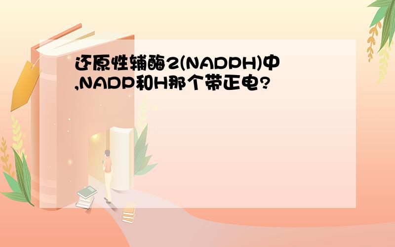 还原性辅酶2(NADPH)中,NADP和H那个带正电?