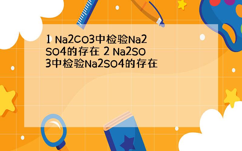 1 Na2CO3中检验Na2SO4的存在 2 Na2SO3中检验Na2SO4的存在