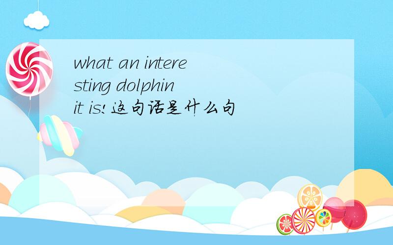 what an interesting dolphin it is!这句话是什么句
