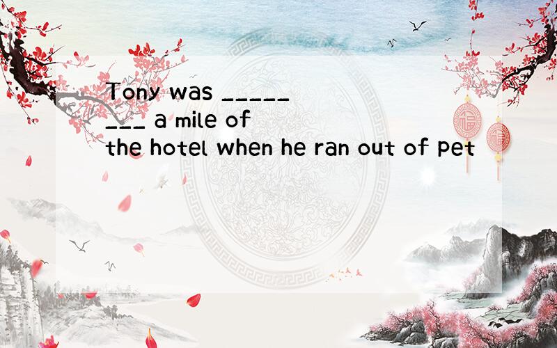 Tony was ________ a mile of the hotel when he ran out of pet
