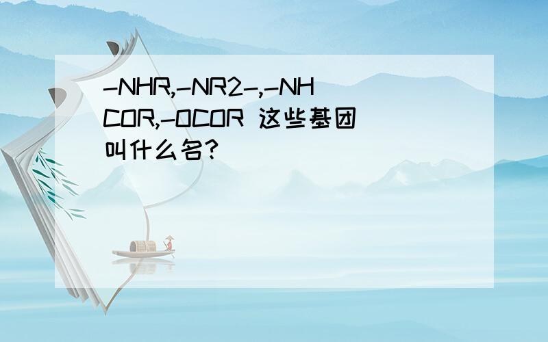 -NHR,-NR2-,-NHCOR,-OCOR 这些基团叫什么名?