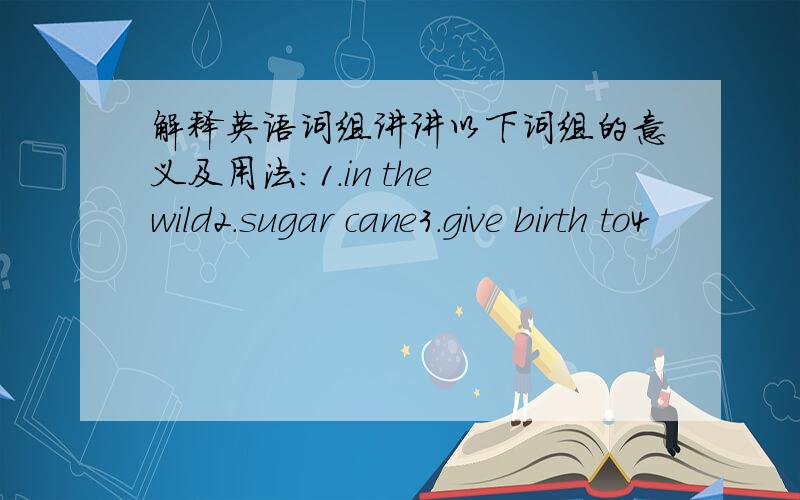 解释英语词组讲讲以下词组的意义及用法：1.in the wild2.sugar cane3.give birth to4